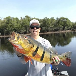 Todd Kline 2017 Peacock Bass
